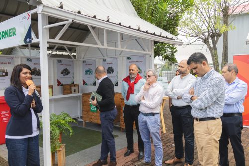 Eco Corner: Turning Waste into Worth
